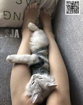 一区二区三区高清在线_蓝光在线视频播放